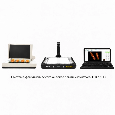 Система фенотипического анализа семян и початков TPKZ-1-G