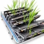Система фенотипирования корней растений TPN-GXY-GT с наклонными контейнерами и растениями, крупный план