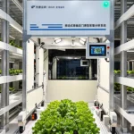 Передвижная система фенотипирования растений TP-MPR-I — специалист управляет установкой через сенсорную панель