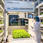 Передвижная система фенотипирования растений TP-MPR-I — специалист управляет установкой через сенсорную панель