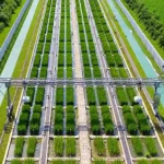 Рельсовая система фенотипирования растений TPN-GTL-GT с портальной конструкцией над опытными посевами, вид спереди