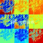 Система фенотипирования плодовых деревьев TP-GTL-WGS — изображение 3